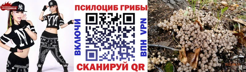 Псилоцибиновые грибы GOLDEN TEACHER  хочу   Чкаловск 